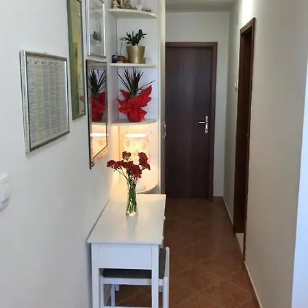 Walk Apartment